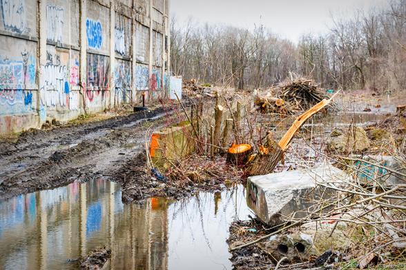 Abandoned rail line at Vacuum Oil