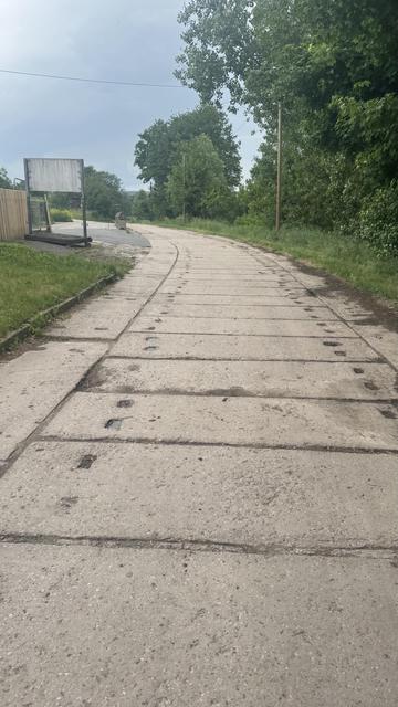 Ein gekrümmter, rissiger Betonweg, der auf beiden Seiten von Gras und Bäumen gesäumt ist. Auf der linken Seite ist eine leere Werbetafel zu sehen, und der Himmel ist bedeckt.