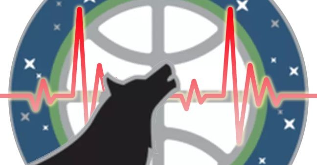 Timberwolves Survey: Canis Pulsus Vol. 42 - Memories Edition (2024-25 Season)