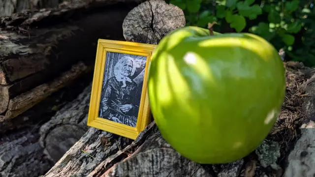 A tiny framed photo of Granny Smith with a green apple in the foreground