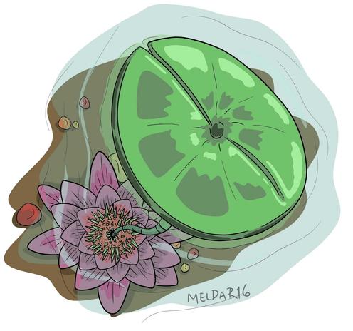 Illustration of a lily pad on water, top down view. Under the water surface is a purple lily flower. The stamen are spikey teeth and the stem of the lily pad is coming out of the mouth like opening