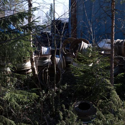 A stack of old, rusty car rims is partially hidden by a patch of evergreen trees in an industrial area.