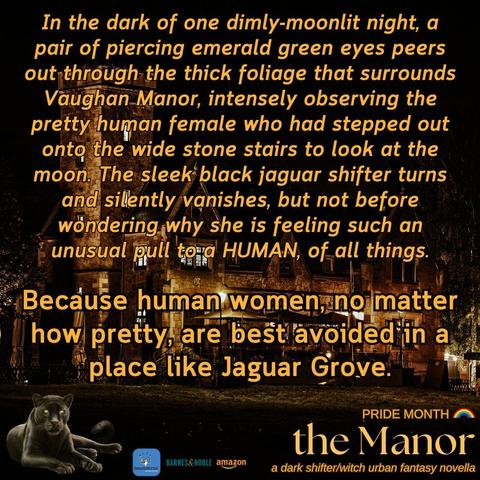 The book cover of “the Manor” by Tiffany E. Taylor on an eerie landscape with dead trees and branches backlit by a dark, glowing orange and yellow light and a reddish full moon with the book blurb and the purchase buy link icons.