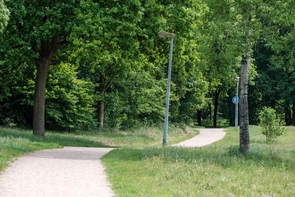 A winding path through lush greenery and trees in Huizen, Netherlands.