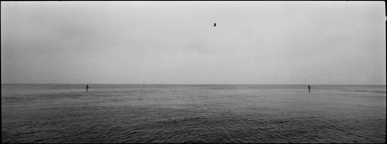 black and white photograph of a bid flying between two groynes over the north sea. the sky is grey and flat, but the elements of the image are in good proportion and pleasingly placed.

does anyone read these?