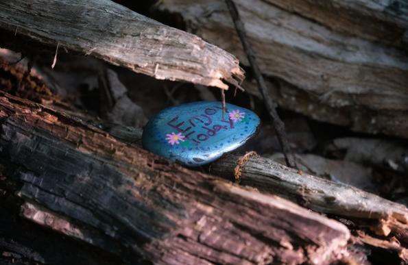 A painted stone, nestled in a rotting log on the forest floor, lit by the afternoon sun. The stone is painted a metallic blue, with the words "Enjoy Today" painted in pink. Around the words are small blue dots and a couple of pink cosmo flowers.