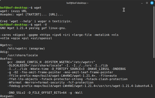 Test de traduction de wget. Vue sur un terminal Linux Mint.