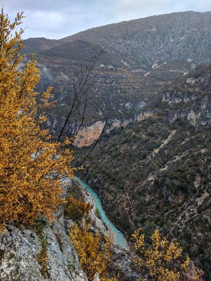 A high-angle shot shows a deep canyon with a turquoise river snaking through the bottom. Steep, rocky sides covered with sparse vegetation rise on either side. In the foreground, out-of-focus autumnal foliage with yellow leaves frames the left side. The sky above is overcast and grey. The canyon walls show layers of rock in various shades of grey and brown.