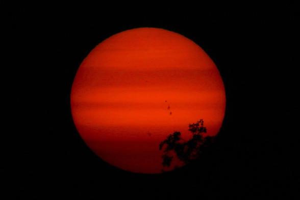 Photograph of an orange and red setting sun with horizontal stripes, sunspots in the center, and a treetop in the bottom right.