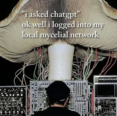 someone with their back facing the camera sits in front of large panels of dials, cables, and switches, with wires plugged into a very large mushroom behind them
"'i asked chatgpt' ok well i logged into my local mycelial network"