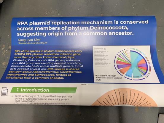 Poster "RPA plasmid replication mechanism is conserved across members of phylum Deinococcota, suggesting origin from a common ancestor"