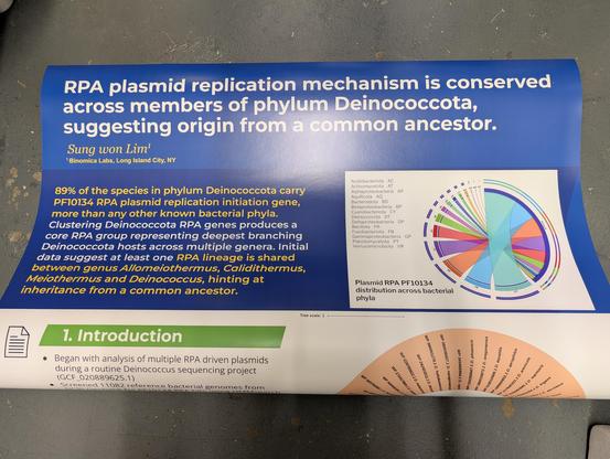 Poster "RPA plasmid replication mechanism is conserved across members of phylum Deinococcota, suggesting origin from a common ancestor"