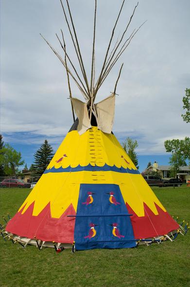 A tipi in a grassy feils. It has Birds painted on it