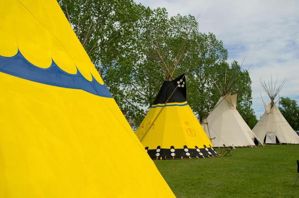 A series of tipi in a field
