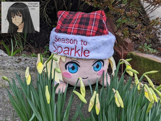 Syaro in daffadil bud with Chistmas hat