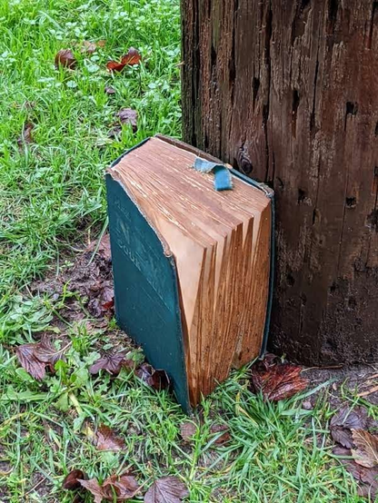 Book next to a telephone pole left out in the rain