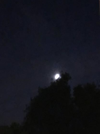 Moon in the sky