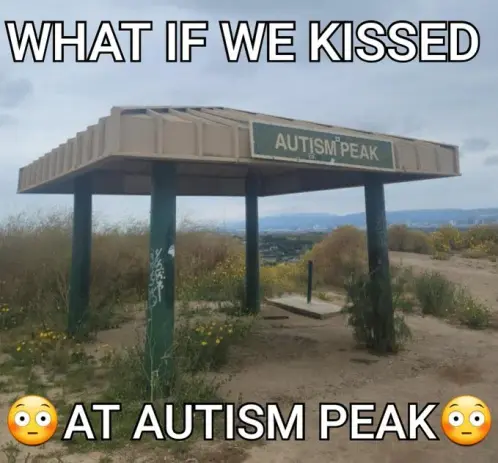 A meme! The background pic is a park shelter area with a name sign "autism peak"

 meme text is "what if we kissed at autism peak" with a couple of 😳 emojis