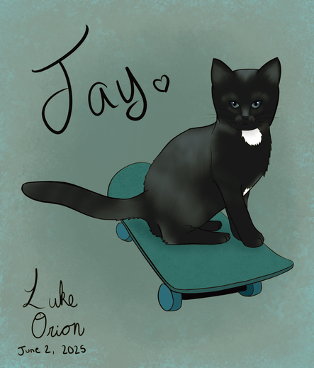 A digital drawing of a black kitten with a white chest on a turquoise and teal skateboard, over an abstract light blue background. The kittens name, Jay, is written with a small heart next to it, and the artist Luke Orion's signature is in the bottom left, with the date written underneath.