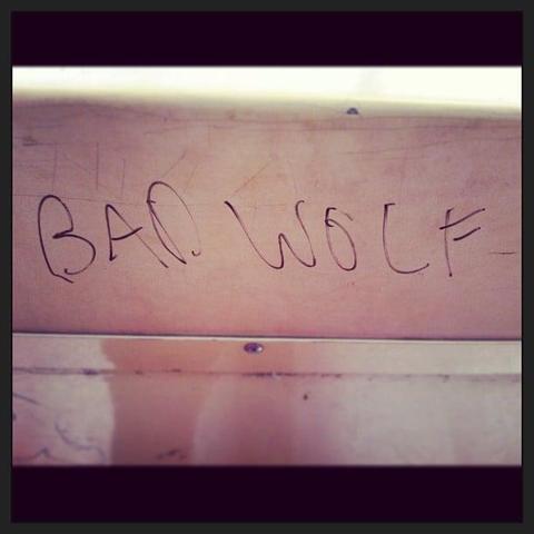 I took this photo years ago. It's from one of my favorite memories. I was with my family for my baby brother's first carnival, and no one would go on the pirate ship ride with me. So, I got on by myself, went all the way to the back, and sat down. As soon as I did, I saw the words Bad Wolf written in Sharpie across the back of the seat in front of me, and immediately whipped my phone out before they came to pull the bars down and start the ride. I swear, that music from season one started playing in my head. The spooky one with all the "oohs." I felt like a part of the Whoniverse for a moment.
