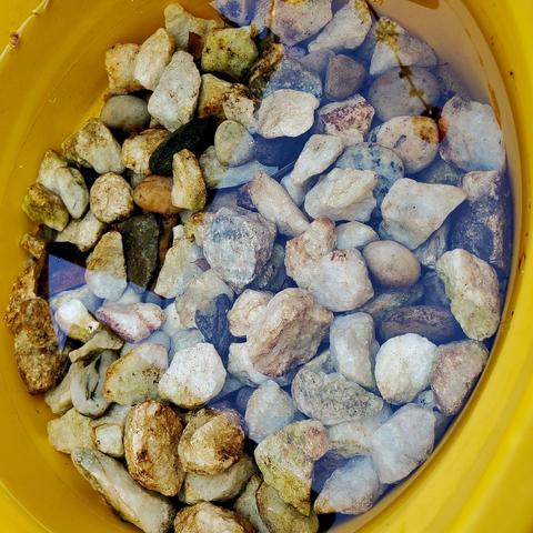 Overhead shot of a yellow bucket containing small, rough-edged rocks submerged in water. The rocks vary in color, ranging from white and beige to gray and brown. Several rocks show traces of green moss. The water's surface reflects the light, adding a shimmering effect to the scene.