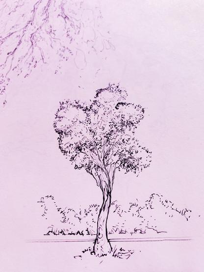 Tree Drawing