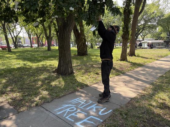 A person hanging a poem in a tree.