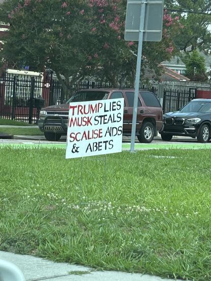 A handmade yard sign says: 
TRUMP LIES
MUSK STEALS
SCALISE AIDS & ABETS
