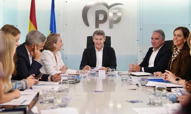El líder del PP, Alberto Núñez Feijóo, en la reunión del Comité de Dirección del partido. (David Mudarra)
