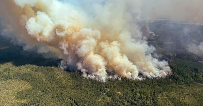 カナダ原油生産、アルバータ州山火事で約7％に影響 | ロイター
