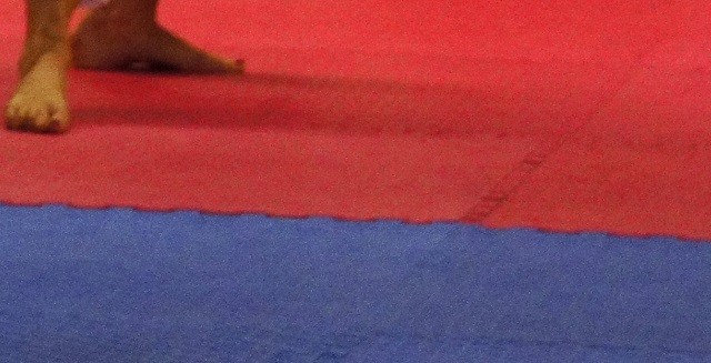tatami