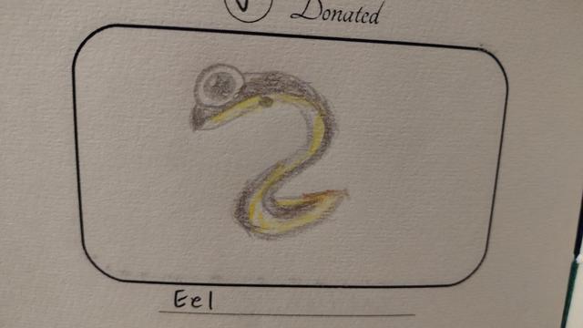 Drawing of an eel with a cartoon like large eye