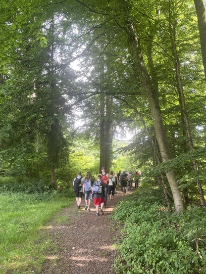 Menschen die durch einen Wald gehen