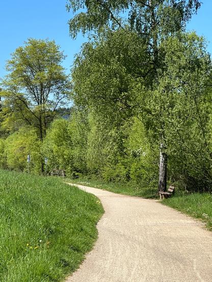 Bettinas Weg durchs Aveler Tal: Fahrradweg zwischen Wiese und Bäumen.