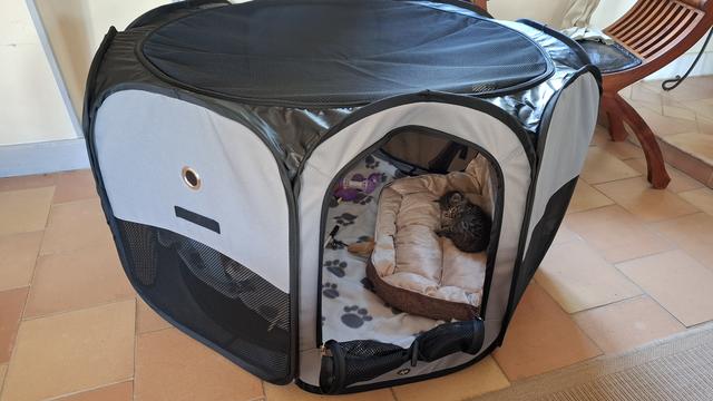 Chattone couchée sur son pouf