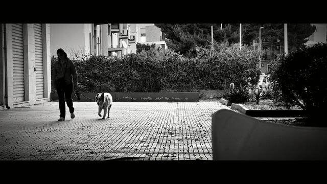 Immagine in bianco e nero di una ragazza che cammina lentamente lungo un marciapiede accompagnata da un cane al guinzaglio. Sono inquadrati di fronte, in un contesto urbano silenzioso, con edifici, siepi e qualche pianta ai lati. In primo piano, sfocato, il bordo curvo di una sedia.