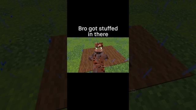 Minecraft Meme