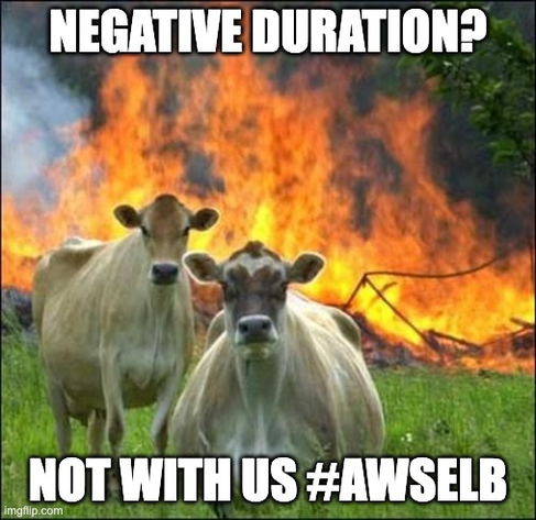 Its a meme with cows standing in front of a fire and looking directly into the camera. The text says: "Negative Duration? Not with us #awselb".
