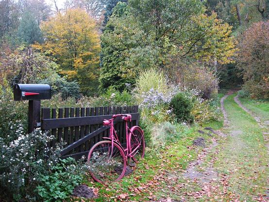 Eine herbstliche, ländliche Szene - ein Grundstück am Waldrand mit einigen Bäumen in Herbstfarben im Mittelgrund. Ziersträucher und Spätblüher säumen einen Weg. Ein hölzernes Tor befindet sich im linken Bildvordergrund. Auf dem Torpfosten sitzt ein schwarzer Briefkasten im amerikanischen Stil. Ein altes, rosa lackiertes Fahrrad ist an das Tor angelehnt.

An autumnal rural scene - a property on the edge of a forest with some trees in autumn colors in the mid-ground. Some ornamental shrubs and late flowers line a track. A wooden gate is in the left foreground. A black American style mailbox sits atop the gatepost. An old bicycle painted all pink leans against the gate.