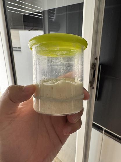Bote de masa madre con un elástico, donde se ve que la masa madre se ha inflado el doble de la altura del elástico