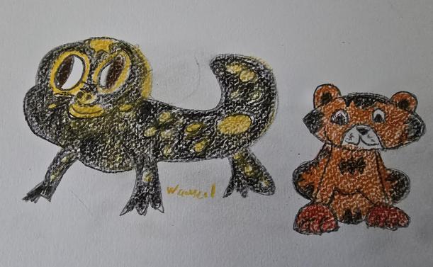 Feuersalamander und Tiger, gezeichnet, farvig