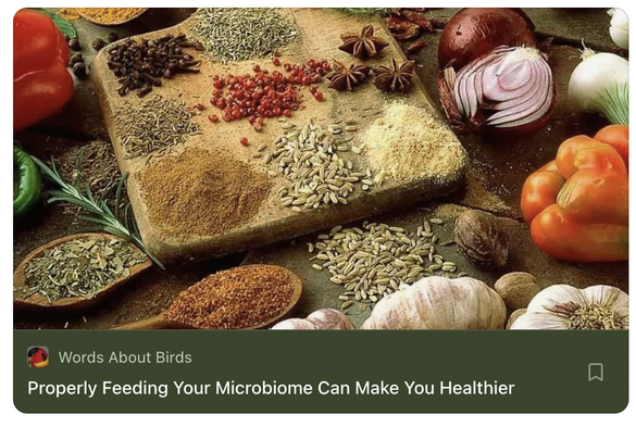 a large array of healthy foods