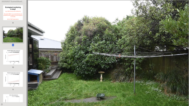 A photo of our back garden, taken last week, showing our laundry line (with no laundry hanging on it this day). There are some small trees, a water bath for birds, and an orange sugar water feeder. The lawn needs mowing. On the left of the screen are some of my graphs from my monitoring, since this is a screen shot from my talk about nature in this neighbourhood.