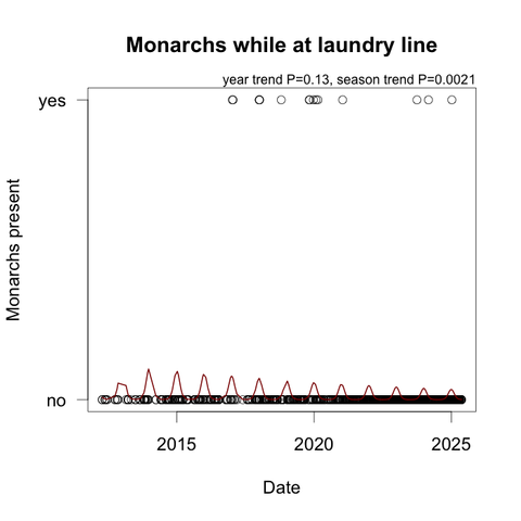 A graph showing the numbers of monarch butterflies seen while I'm hanging out or bringing in our laundry. The fitted line on the graph wiggles up and down with the seasons (more in the summer). There's no long-term trend. The line spans 2012–2025.