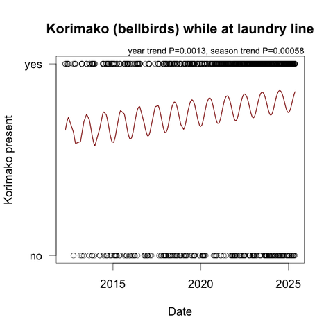 A graph showing the increasing numbers of korimako (NZ bellbirds) seen (or heard) while I'm hanging out or bringing in our laundry. The fitted line on the graph wiggles up and down with the seasons (more in the winter). The line spans 2012–2025.