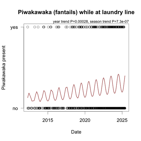 A graph showing the increasing numbers of piwakawaka (NZ fantails) seen (or heard) while I'm hanging out or bringing in our laundry. The fitted line on the graph wiggles up and down with the seasons (more in the winter). The line spans 2012–2025.