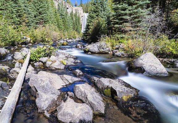 Tumalo Falls Near Bend Oregon 

Tucked into the pine-scented Deschutes National Forest just 14 miles west of Bend, Oregon, Tumalo Falls is one of Central Oregon’s most iconic and beloved waterfalls. This striking 97-foot plunge over a basalt cliff captures the essence of the region’s rugged natural beauty and makes for a perfect midday photography stop or family-friendly hike.

Fed by Tumalo Creek, the falls thunder down into a rocky canyon surrounded by towering evergreens. In autumn, the scene is kissed with the warm glow of seasonal change—subtle hints of gold and amber leaves contrast beautifully with the deep greens of the forest. While the high desert landscape is typically dominated by evergreens, the few deciduous trees and shrubs near the creek light up just enough to add a touch of fall magic.

Photographing Tumalo Falls around midday can be surprisingly rewarding. The sun, now high enough to illuminate the canyon fully, enhances the clarity of the water as it pours over the cliff. 


Image:
https://fineartamerica.com/featured/tumalo-falls-near-bend-oregon-log-landscape-wayne-moran.html

Read more:
https://waynemoranphotography.com/blog/pacific-northwest-photography-adventure-a-journey-through-natures-masterpieces/

#waterfalls #oregon #TumaloFalls #bend #nature #travel #travelPhotography #Landscape #landscapes #art #fineart 

#ayearforart #buyintoart