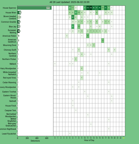 Chart generated by BirdNET-Pi with rows of all detected birds for Monday, June 02, 2025 in decending order.  The first large column displays a bar chart of relative frequency; the 24 reamaining columns create cells with the bird count for each hour of the day shaded by relative count.