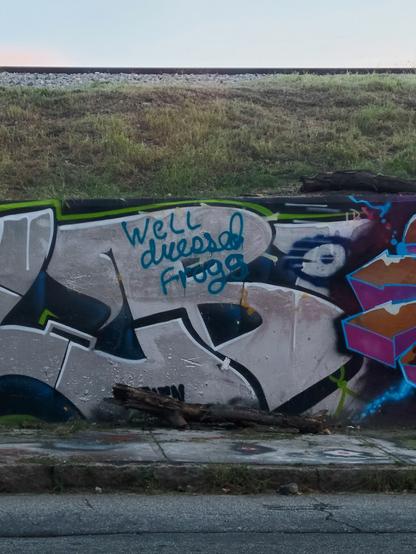 concrete wall covered in a graffiti mural, with "well dressed frogs" painted over it
