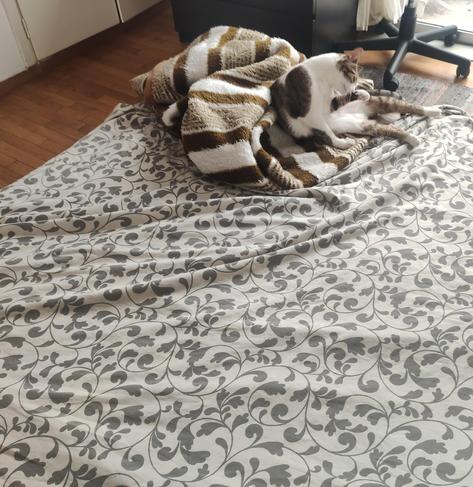The image shows a cat lying on a bed with a floral-patterned bedspread. The cat is partially covered by a striped blanket with brown and white stripes. The cat appears to be grooming itself, with its front paws tucked under its body. The bedspread has a gray and white color scheme with a swirling floral design. The floor is wooden, and there is a black piece of furniture with a chair nearby. The room is well-lit, suggesting natural light coming from a window.

Provided by @altbot, generated privately and locally using Ovis2-8B

🌱 Energy used: 0.132 Wh